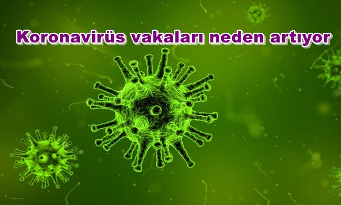 Koronavirüs vakaları neden artıyor