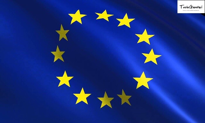 Avrupa Birliği 2020