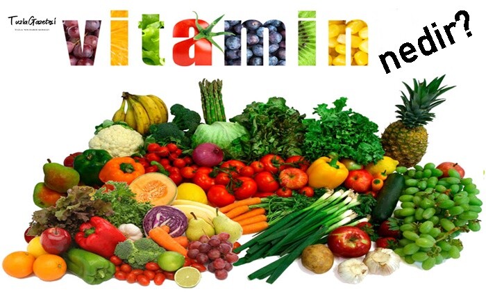Vitamin Nedir