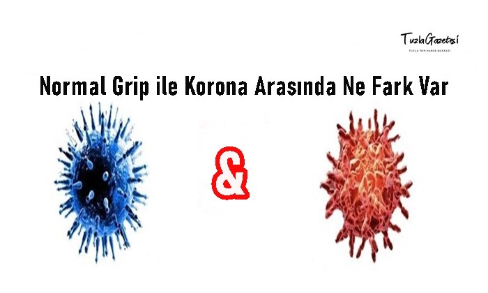Normal Grip ile Korona Arasında Ne Fark Var