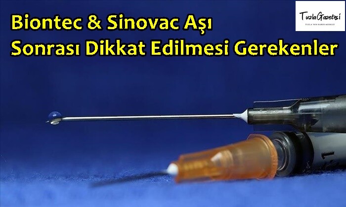 Biontec Sinovac Aşı Sonrası Dikkat Edilmesi Gerekenler