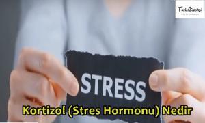 Kortizol Stres Hormonu Nedir