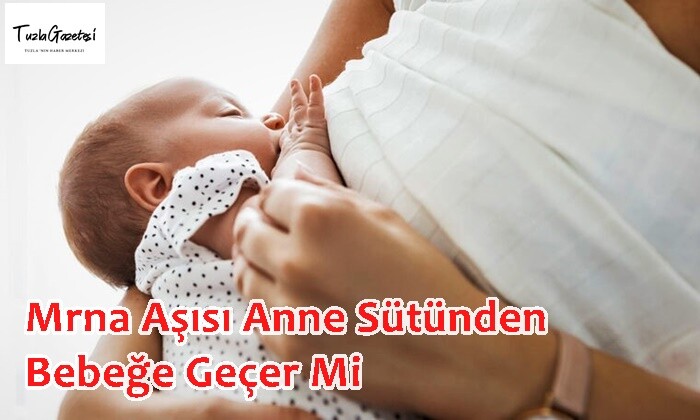Mrna Aşısı Anne Sütünden Bebeğe Geçer Mi turcovac