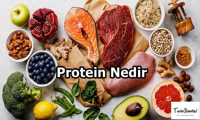 Protein Nedir zararları