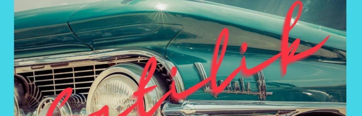 Tuzla Oto Galerici en iyi