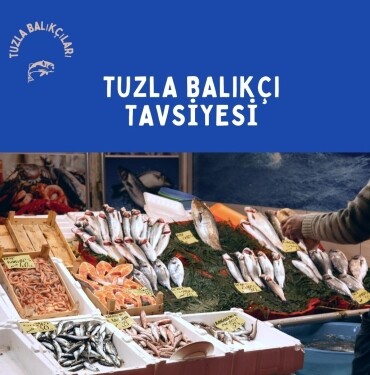 Tuzla Balıkçı tavsiye