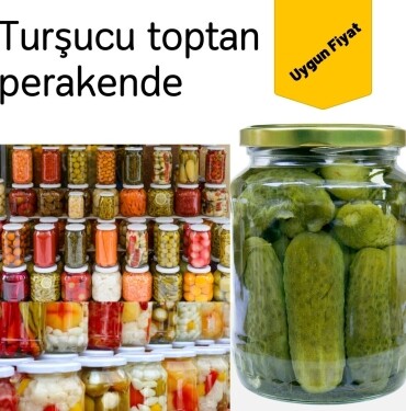 Tuzla Turşucu fiyat