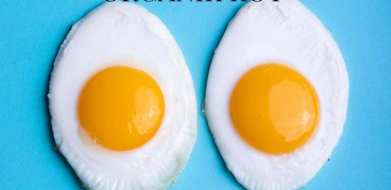 Tuzla Yumurtacı serbest gezen