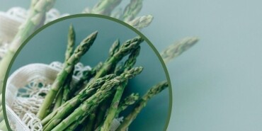 Kuşkonmaz Yetiştiriciliği