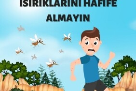 Sivrisinek ısırıklarını hafife almayın