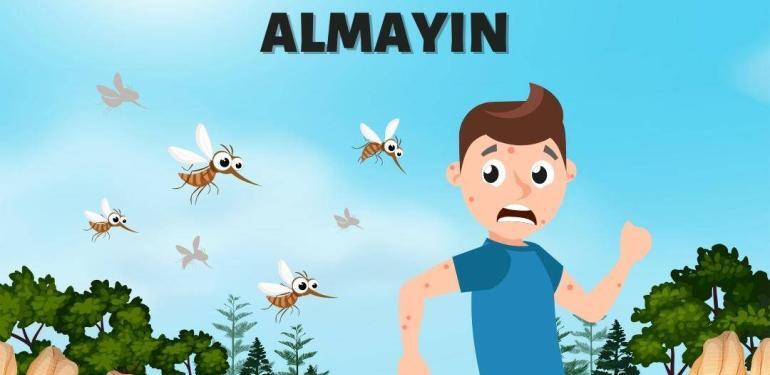 Sivrisinek ısırıklarını hafife almayın