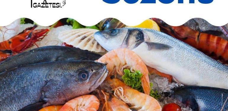 Balık Sezonu fiyatlar 2023
