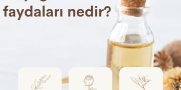 Gül suyu, sirkesi ve yağı' nın faydaları nedir