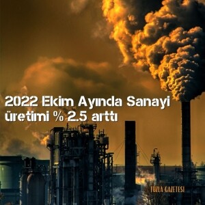 2022 Ekim Ayında Sanayi üretimi yüzde 2.5 arttı