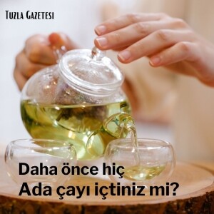 Adaçayı ne işe yarar