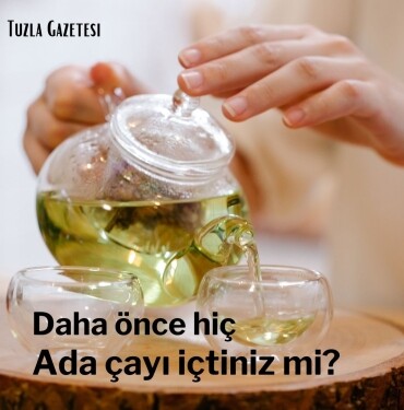 Adaçayı ne işe yarar