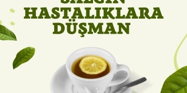 Bu Tarif Salgın Hastalıklara Düşman 