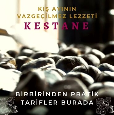 Kış Mevsiminin Vazgeçilmezi Kestane