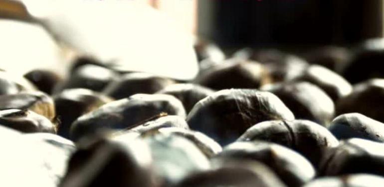 Kış Mevsiminin Vazgeçilmezi Kestane