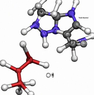 Alanin aminotransferaz (ALT) nedir