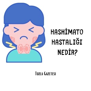 Hashimato Hastalığı neden olur