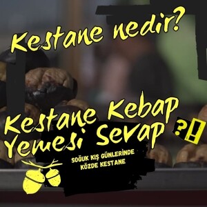 Kestane nedir, Kestanenin faydaları nedir? Kestanenin zararları nedir?