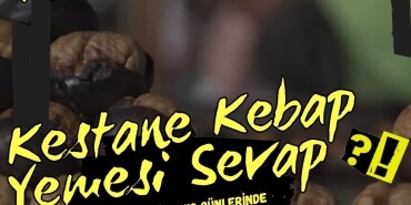 Kestane nedir, Kestanenin faydaları nedir? Kestanenin zararları nedir?