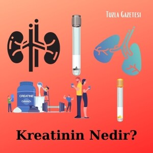 Kreatinin Nedir