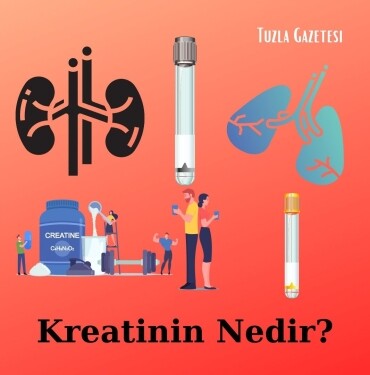 Kreatinin Nedir