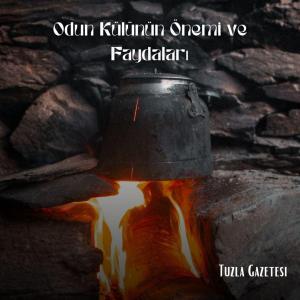 Odun Külünün Önemi ve Faydaları