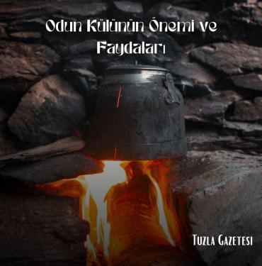 Odun Külünün Önemi ve Faydaları