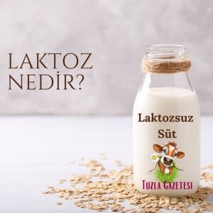 Laktoz nedir