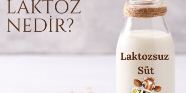 Laktoz nedir