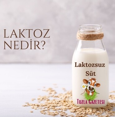 Laktoz nedir