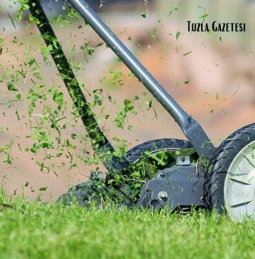 Çimleri nasıl güçlendirebiliriz