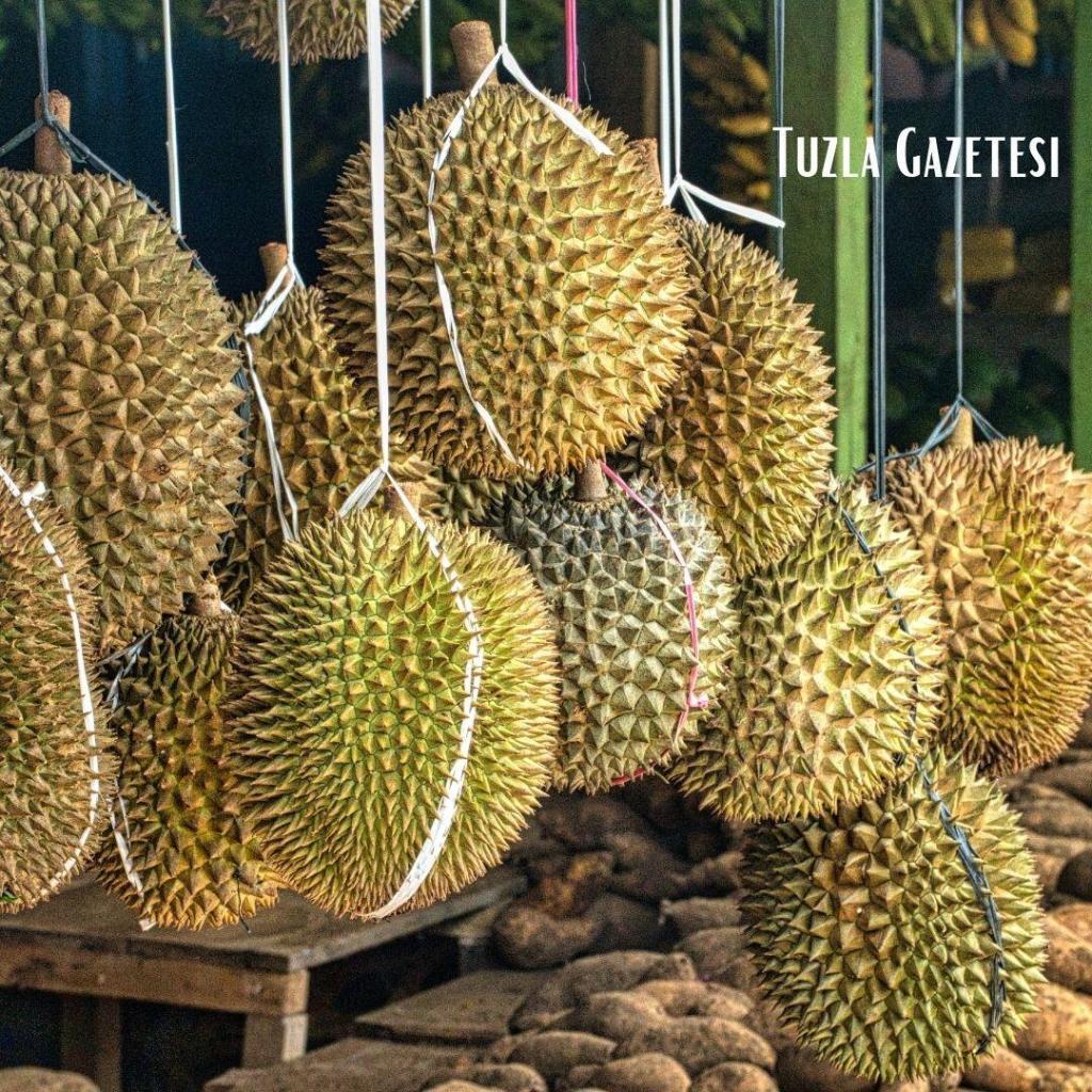 Durian meyvesi, Durian meyvesinin faydaları nedir