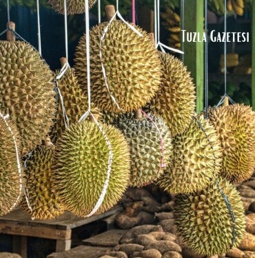 Durian meyvesi, Durian meyvesinin faydaları nedir