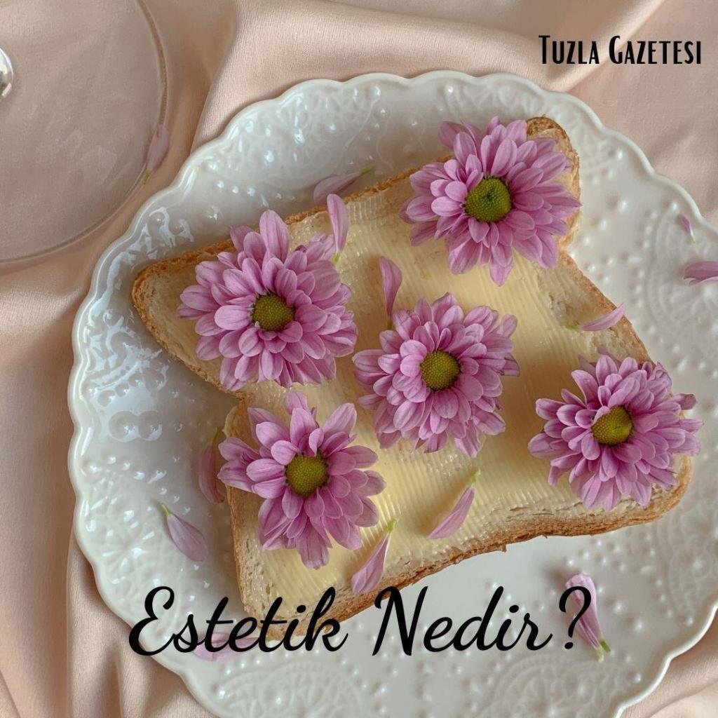 Estetik Nedir