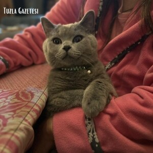 Evcil Hayvan Beslemenin İnsan Sağlığı üzerine Etkileri