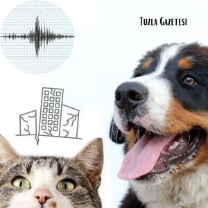 Evcil Hayvanlar Depremi Hissedebiliyorlar