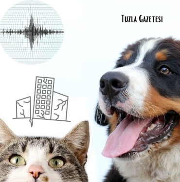 Evcil Hayvanlar Depremi Hissedebiliyorlar