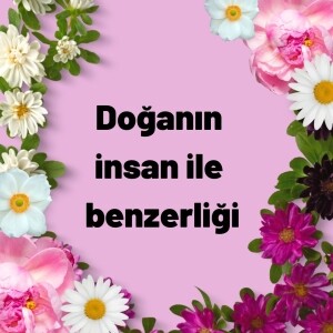 Doğanın insan ile benzerliği