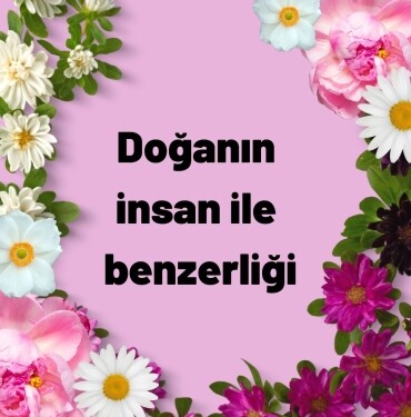 Doğanın insan ile benzerliği