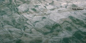 Müsilaj nedir Neden olur