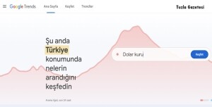 Google Trendler nedir Ne işe yarar