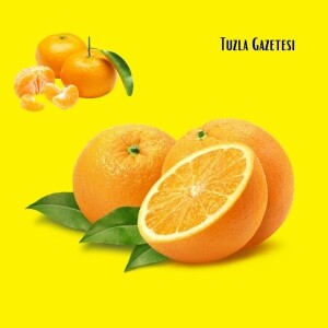 Skorbüt hastalığı nedir Skorbit hastalığı Belirtileri nelerdir