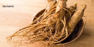 Ginseng Nedir Özellikleri Faydaları ve Kullanım Alanları