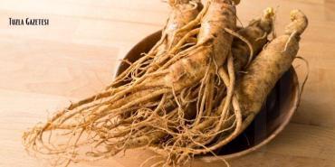 Ginseng Nedir Özellikleri Faydaları ve Kullanım Alanları