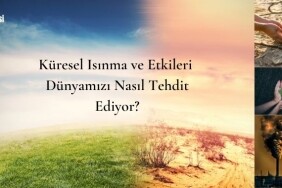 Küresel Isınma ve Etkileri Dünyamızı Nasıl Tehdit Ediyor