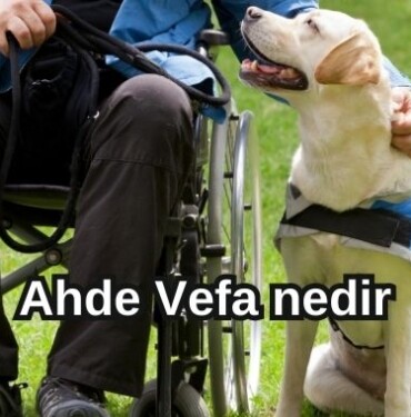 Ahde Vefa nedir
